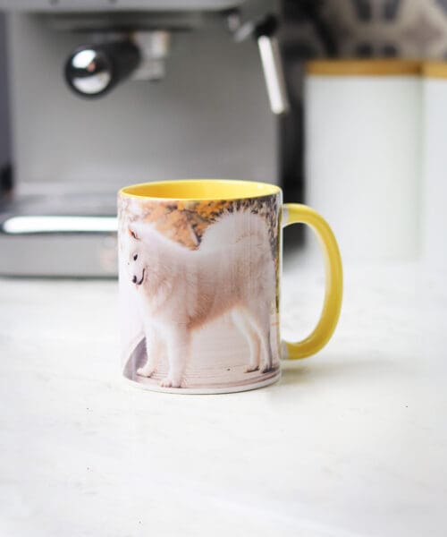 Custom Mugs with Choice of 6 Colours